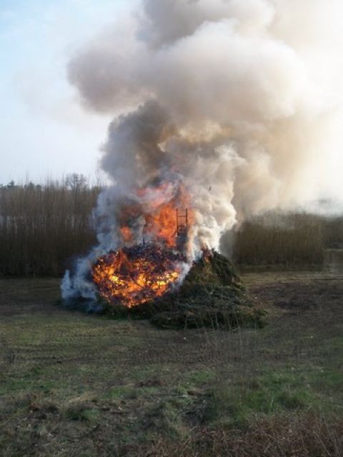 carnaval 2013 bis (225).jpg